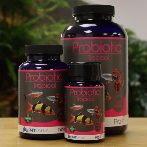 Labs tropical probiotic - labs,