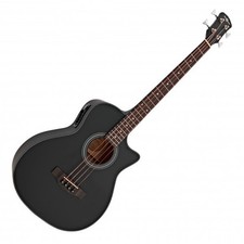 Electro acoustic bass - electro,