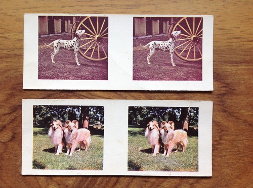 Weetabix d working - 3-d, dogs