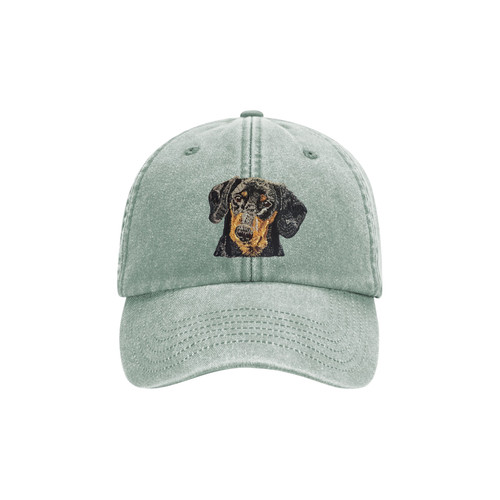 Dachshund black tan - dachshund, dog