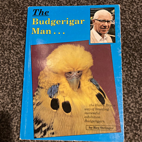 The budgerigar man - the, roy