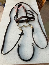 Brown Bridle