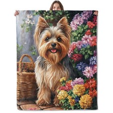 Cute Yorkshire Terrier