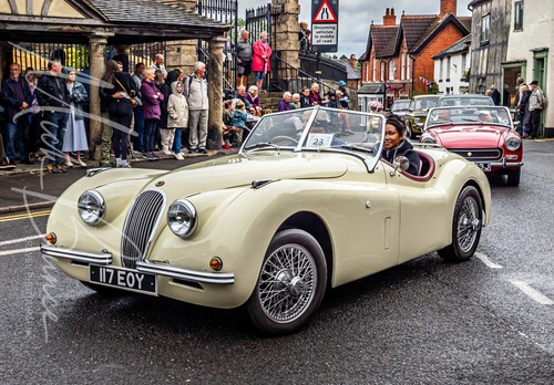 Wall art jaguar xk120 - jaguar, festival