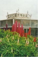 Photo 6x4 Octagonal Greenhouse