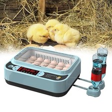 Egg incubator hatching eggs - 24,