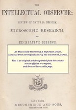 THE AUSTRALIAN SATIN BIRD AND