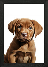 Labrador Framed Wall Art