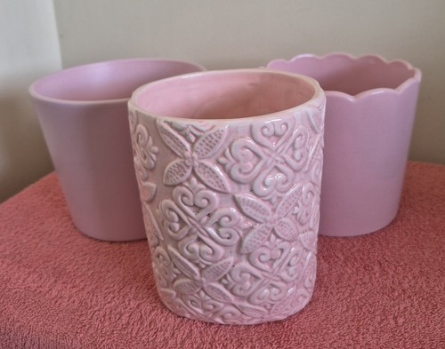 Pair pink plant - pair, of