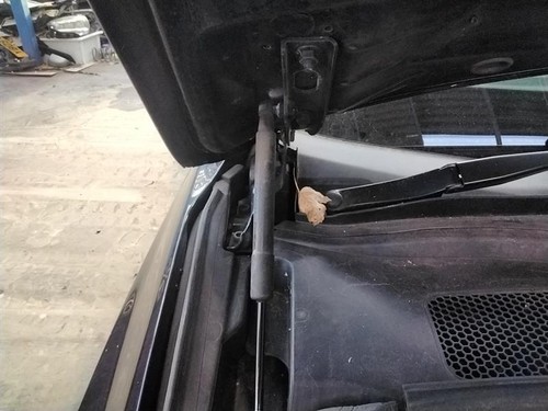 Bonnet hinge audi mk1 - bonnet,