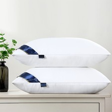 2Pcs Hotel-quality Pillows