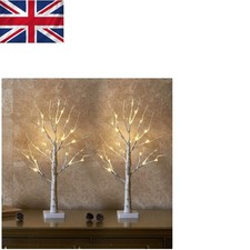 Elegant 60cm Birch Twig Trees