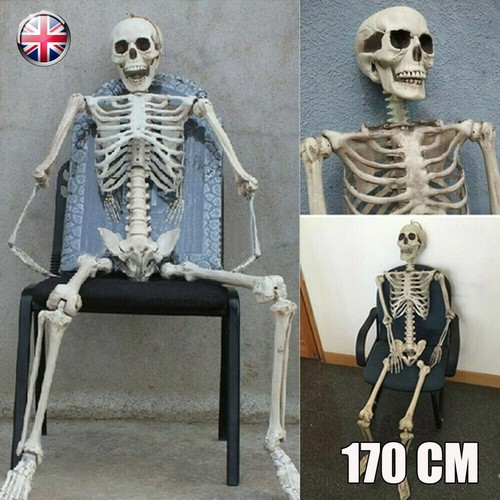Full life size - size, halloween