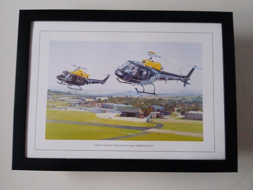 Aircraft print defence - print, 'defence