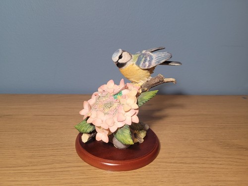 Border fine arts birds - border, ~