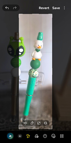 Duck character decorative - duck,