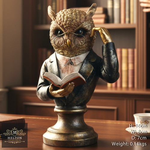Large wise owl - wise, bust