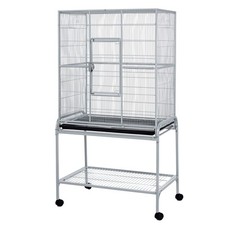 Birds rats chinchillas flight - chinchillas,