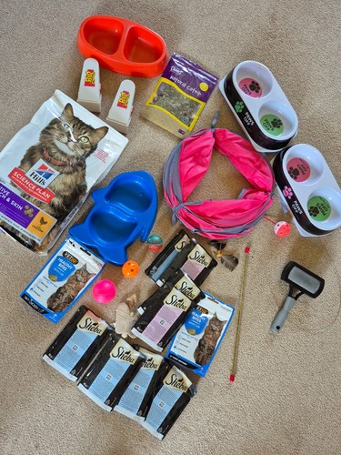 Cat toys food - food, and