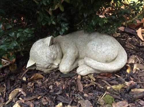 Stone garden small sleeping - stone,