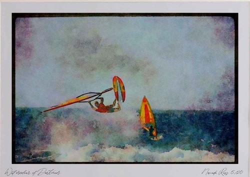 Sailing 339079 neill cup - sailing, o'neill