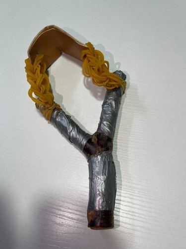 Natural wood apricot - wood, tree