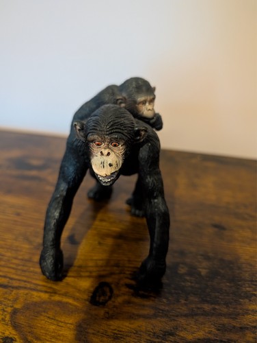 Chimpanzee with baby back - with,