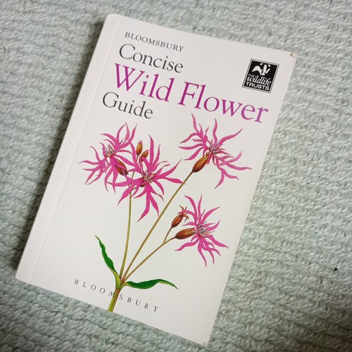 Concise wild flower guide - guide, by