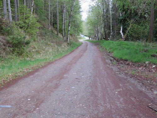 Photo 6x4 track - road, from