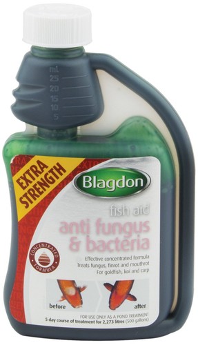 Blagdon anti fungus - blagdon, &