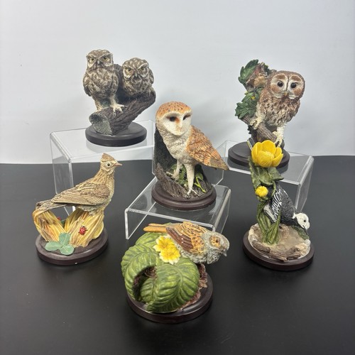 Country bird collection 6 - x,