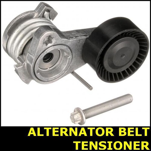 Ribbed belt tensioner - belt,