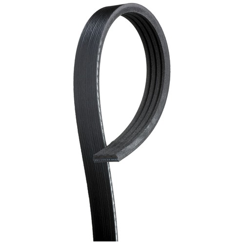 Rib multi drive belt - rib,