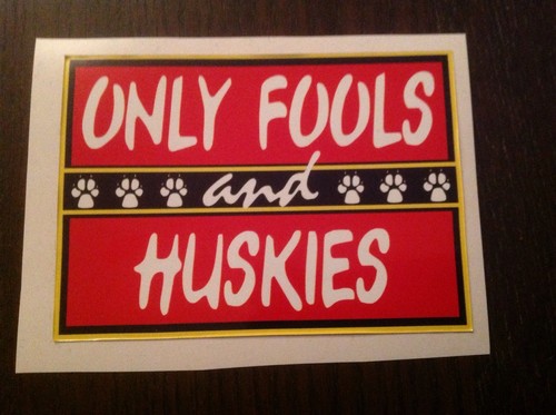 Only fools and - only,