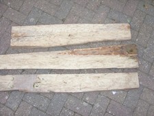 large driftwood