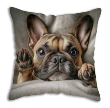 1 X Lovely French Bulldog