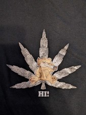  Official Bad Taste Bear