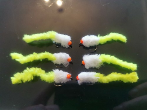 Cats whisker eggstacy - whisker, worms
