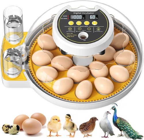 Triwind automatic egg - automatic,