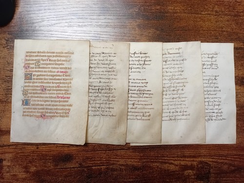 Book hours vellum - of,