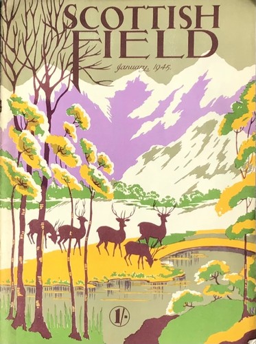 Vintage scottish field - vintage,