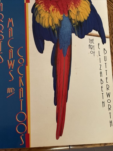 Parrots macaws and - parrots,, macaws,