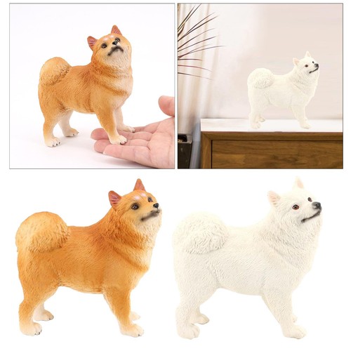 Samoyed model educational - samoyed, dog