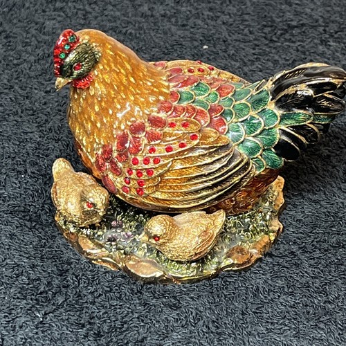 Hen chicks chicken - hen,