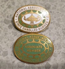 Vintage National Assoc of State Enrolled Nurses & Associate Member Badges (N)