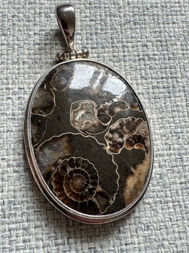Ammonite pendant silver - in,