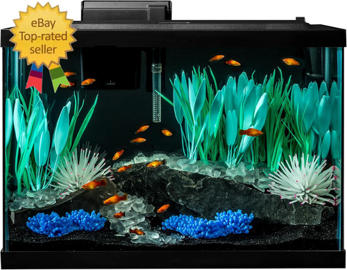 Colorfusion aquarium gallon - colorfusion,
