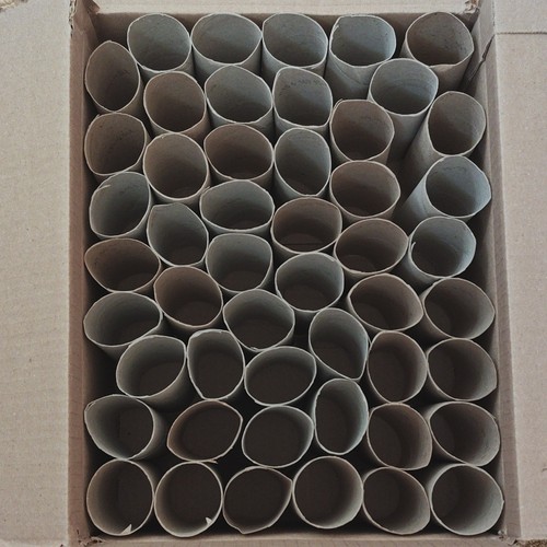 Cardboard toilet tube - 50,