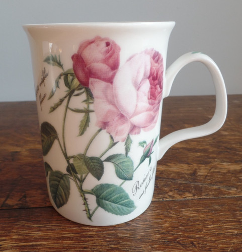 Roy kirkham redoute roses - redoute,