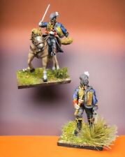 Napoleonic 28mm British Royal